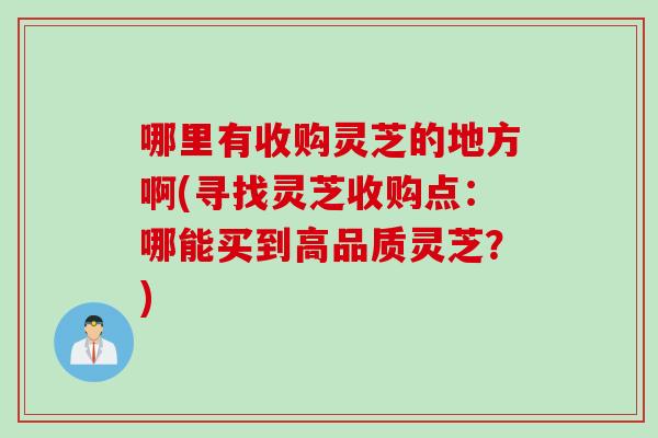哪里有收购灵芝的地方啊(寻找灵芝收购点：哪能买到高品质灵芝？)