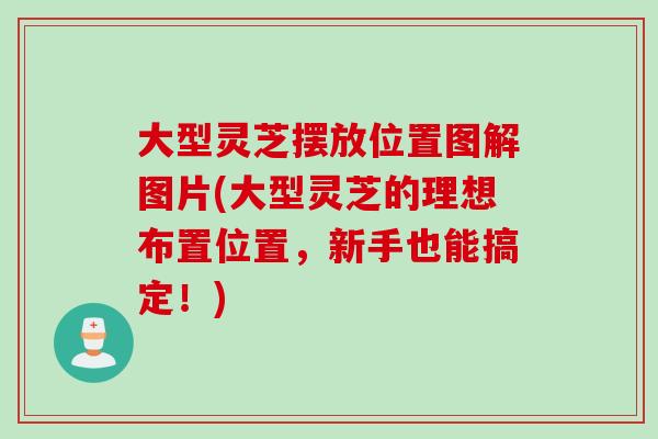 大型灵芝摆放位置图解图片(大型灵芝的理想布置位置,新手也能搞定!) 大型灵芝摆放位置图解图片(大型灵芝的理想布置位置,新手也能搞定!)