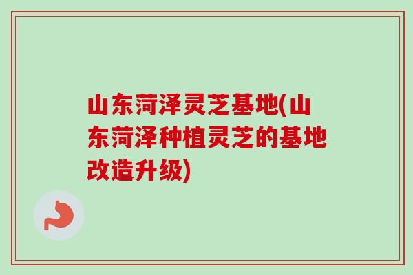 山东菏泽灵芝基地(山东菏泽种植灵芝的基地改造升级) 山东菏泽灵芝基地(山东菏泽种植灵芝的基地改造升级)