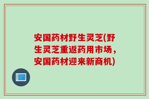 安国药材野生灵芝(野生灵芝重返药用市场,安国药材迎来新商机) 安国药材野生灵芝(野生灵芝重返药用市场,安国药材迎来新商机)
