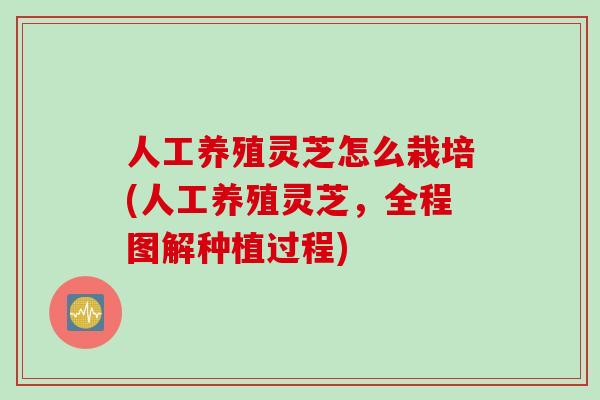 人工养殖灵芝怎么栽培(人工养殖灵芝，全程图解种植过程)