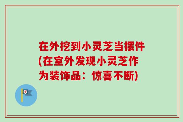 在外挖到小灵芝当摆件(在室外发现小灵芝作为装饰品：惊喜不断)