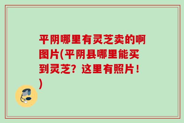 平阴哪里有灵芝卖的啊图片(平阴县哪里能买到灵芝？这里有照片！)