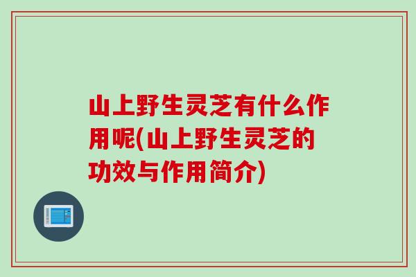 山上野生灵芝有什么作用呢(山上野生灵芝的功效与作用简介) 山上野生灵芝有什么作用呢(山上野生灵芝的功效与作用简介)