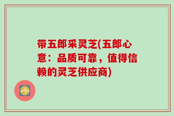 带五郎采灵芝(五郎心意：品质可靠，值得信赖的灵芝供应商)