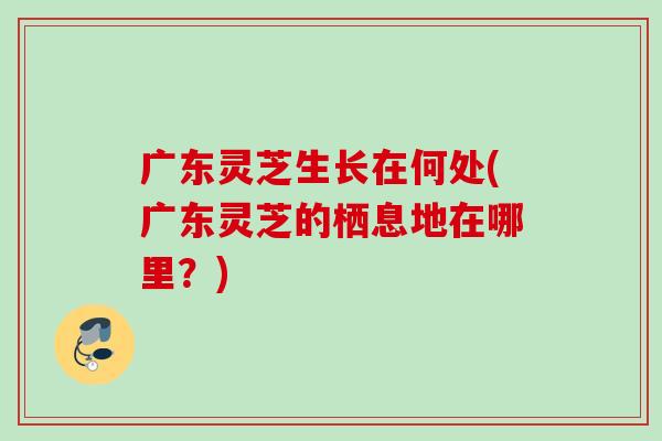 广东灵芝生长在何处(广东灵芝的栖息地在哪里?) 广东灵芝生长在何处(广东灵芝的栖息地在哪里?)