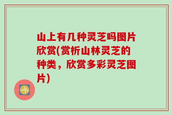 山上有几种灵芝吗图片欣赏(赏析山林灵芝的种类，欣赏多彩灵芝图片)