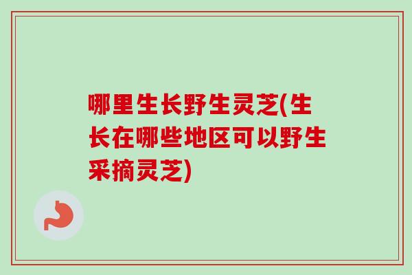 哪里生长野生灵芝(生长在哪些地区可以野生采摘灵芝)