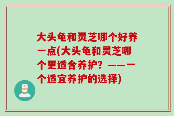 大头龟和灵芝哪个好养一点(大头龟和灵芝哪个更适合养护?——一个适宜养护的选择) 大头龟和灵芝哪个好养一点(大头龟和灵芝哪个更适合养护?——一个适宜养护的选择)