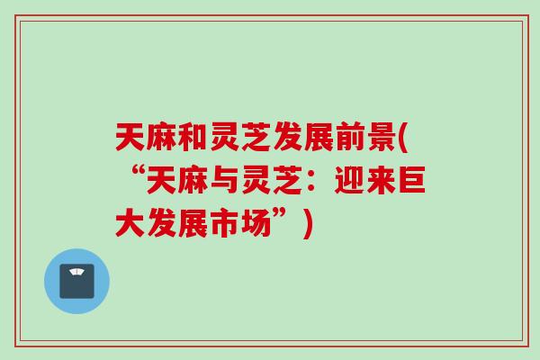 天麻和灵芝发展前景(“天麻与灵芝：迎来巨大发展市场”)