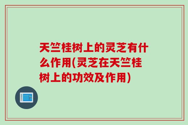 天竺桂树上的灵芝有什么作用(灵芝在天竺桂树上的功效及作用)