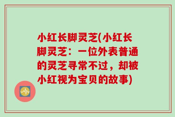 小红长脚灵芝(小红长脚灵芝：一位外表普通的灵芝寻常不过，却被小红视为宝贝的故事)