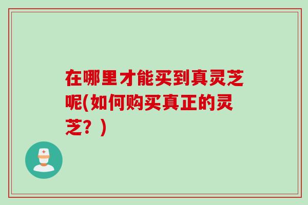 在哪里才能买到真灵芝呢(如何购买真正的灵芝？)