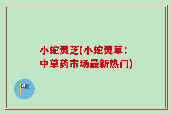 小蛇灵芝(小蛇灵草：中草药市场最新热门)