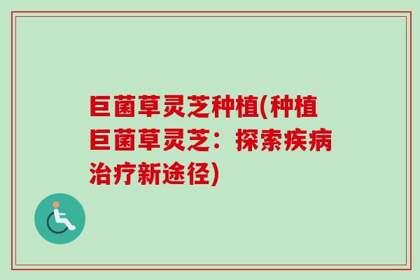 巨菌草灵芝种植(种植巨菌草灵芝：探索疾病治疗新途径)