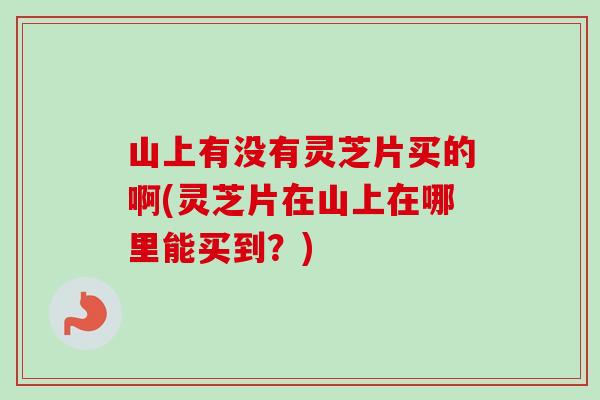 山上有没有灵芝片买的啊(灵芝片在山上在哪里能买到？)