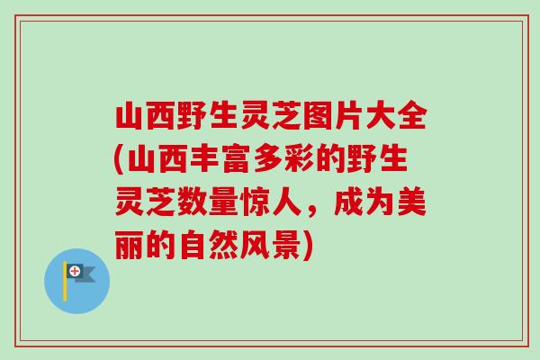 山西野生灵芝图片大全(山西丰富多彩的野生灵芝数量惊人，成为美丽的自然风景)