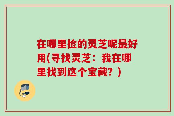 在哪里捡的灵芝呢最好用(寻找灵芝：我在哪里找到这个宝藏？)