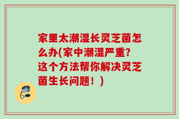 家里太潮湿长灵芝菌怎么办(家中潮湿严重？这个方法帮你解决灵芝菌生长问题！)
