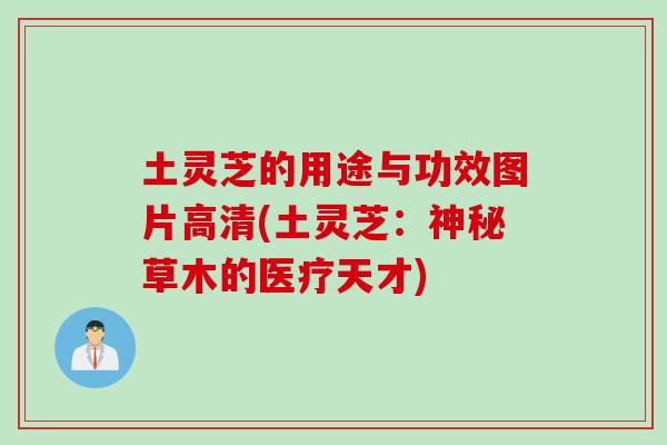 土灵芝的用途与功效图片高清(土灵芝：神秘草木的医疗天才)