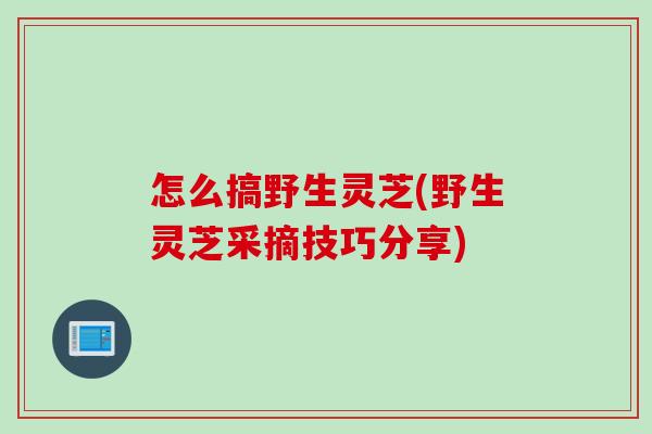 怎么搞野生灵芝(野生灵芝采摘技巧分享) 怎么搞野生灵芝(野生灵芝采摘技巧分享)