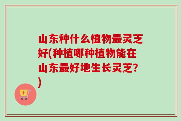 山东种什么植物最灵芝好(种植哪种植物能在山东最好地生长灵芝？)