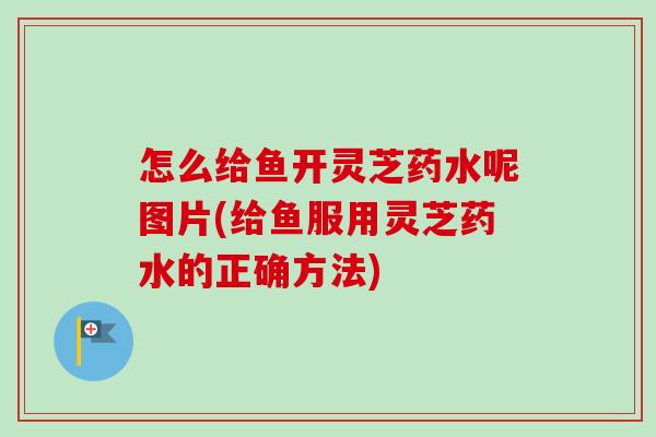 怎么给鱼开灵芝药水呢图片(给鱼服用灵芝药水的正确方法)