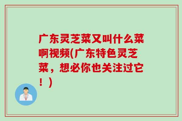 广东灵芝菜又叫什么菜啊视频(广东特色灵芝菜，想必你也关注过它！)