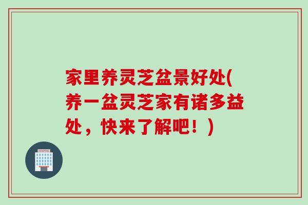家里养灵芝盆景好处(养一盆灵芝家有诸多益处,快来了解吧!) 家里养灵芝盆景好处(养一盆灵芝家有诸多益处,快来了解吧!)