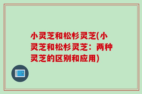 小灵芝和松杉灵芝(小灵芝和松杉灵芝：两种灵芝的区别和应用)