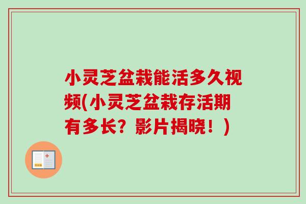 小灵芝盆栽能活多久视频(小灵芝盆栽存活期有多长?影片揭晓!) 小灵芝盆栽能活多久视频(小灵芝盆栽存活期有多长?影片揭晓!)
