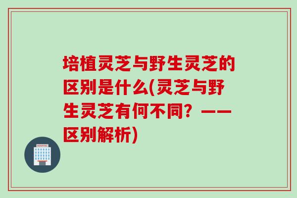 培植灵芝与野生灵芝的区别是什么(灵芝与野生灵芝有何不同？——区别解析)