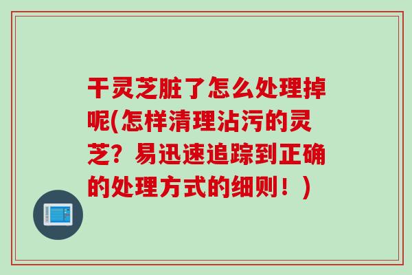 干灵芝脏了怎么处理掉呢(怎样清理沾污的灵芝?易迅速追踪到正确的处理方式的细则!) 干灵芝脏了怎么处理掉呢(怎样清理沾污的灵芝?易迅速追踪到正确的处理方式的细则!)