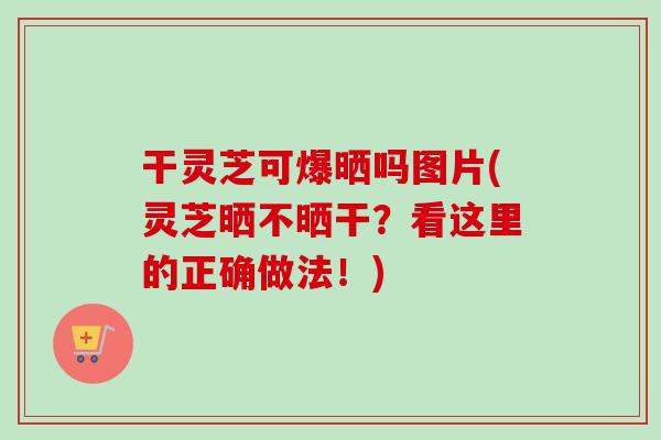 干灵芝可爆晒吗图片(灵芝晒不晒干？看这里的正确做法！)