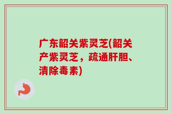 广东韶关紫灵芝(韶关产紫灵芝,疏通胆、清除毒素) 广东韶关紫灵芝(韶关产紫灵芝,疏通胆、清除毒素)
