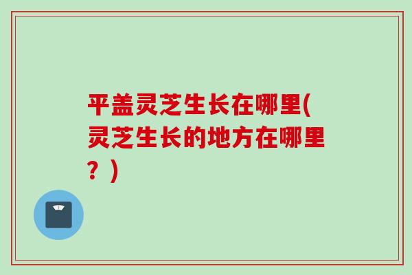 平盖灵芝生长在哪里(灵芝生长的地方在哪里？)