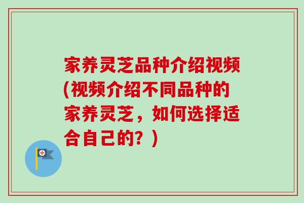 家养灵芝品种介绍视频(视频介绍不同品种的家养灵芝，如何选择适合自己的？)