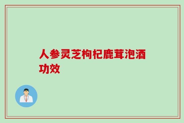 人参灵芝枸杞鹿茸泡酒功效