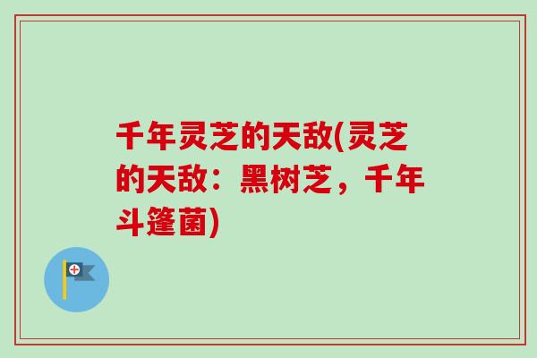 千年灵芝的天敌(灵芝的天敌：黑树芝，千年斗篷菌)