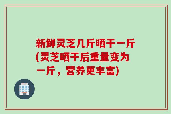 新鲜灵芝几斤晒干一斤(灵芝晒干后重量变为一斤,营养更丰富) 新鲜灵芝几斤晒干一斤(灵芝晒干后重量变为一斤,营养更丰富)