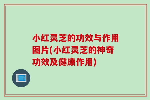 小红灵芝的功效与作用图片(小红灵芝的神奇功效及健康作用)