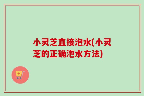 小灵芝直接泡水(小灵芝的正确泡水方法)