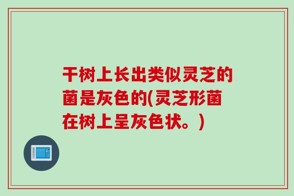 干树上长出类似灵芝的菌是灰色的(灵芝形菌在树上呈灰色状。)