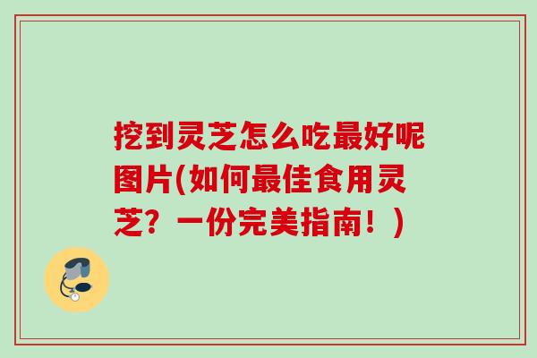 挖到灵芝怎么吃最好呢图片(如何最佳食用灵芝？一份完美指南！)