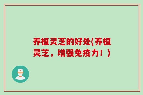养植灵芝的好处(养植灵芝，增强免疫力！)