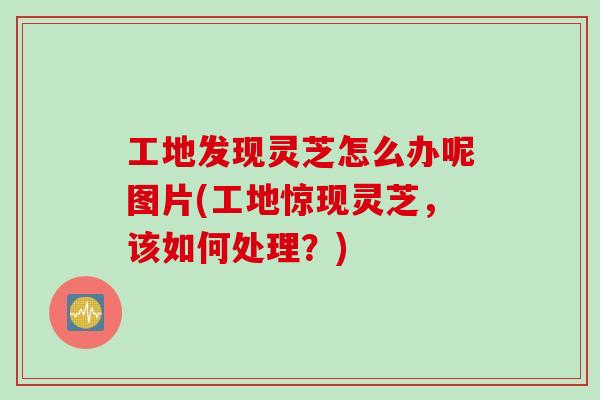 工地发现灵芝怎么办呢图片(工地惊现灵芝，该如何处理？)