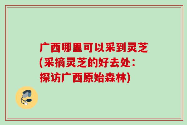 广西哪里可以采到灵芝(采摘灵芝的好去处：探访广西原始森林)
