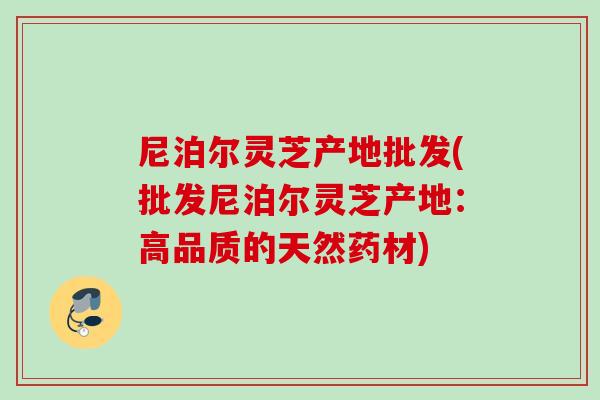尼泊尔灵芝产地批发(批发尼泊尔灵芝产地：高品质的天然药材)