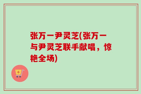张万一尹灵芝(张万一与尹灵芝联手献唱，惊艳全场)