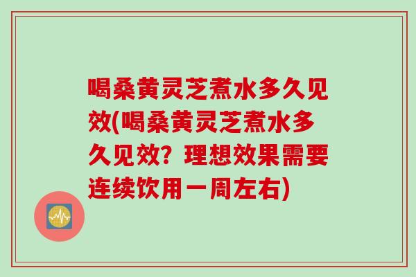 喝桑黄灵芝煮水多久见效(喝桑黄灵芝煮水多久见效？理想效果需要连续饮用一周左右)